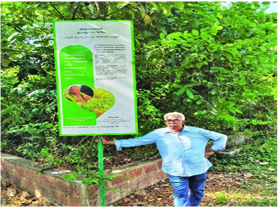 One-man mission to offset loss of forests